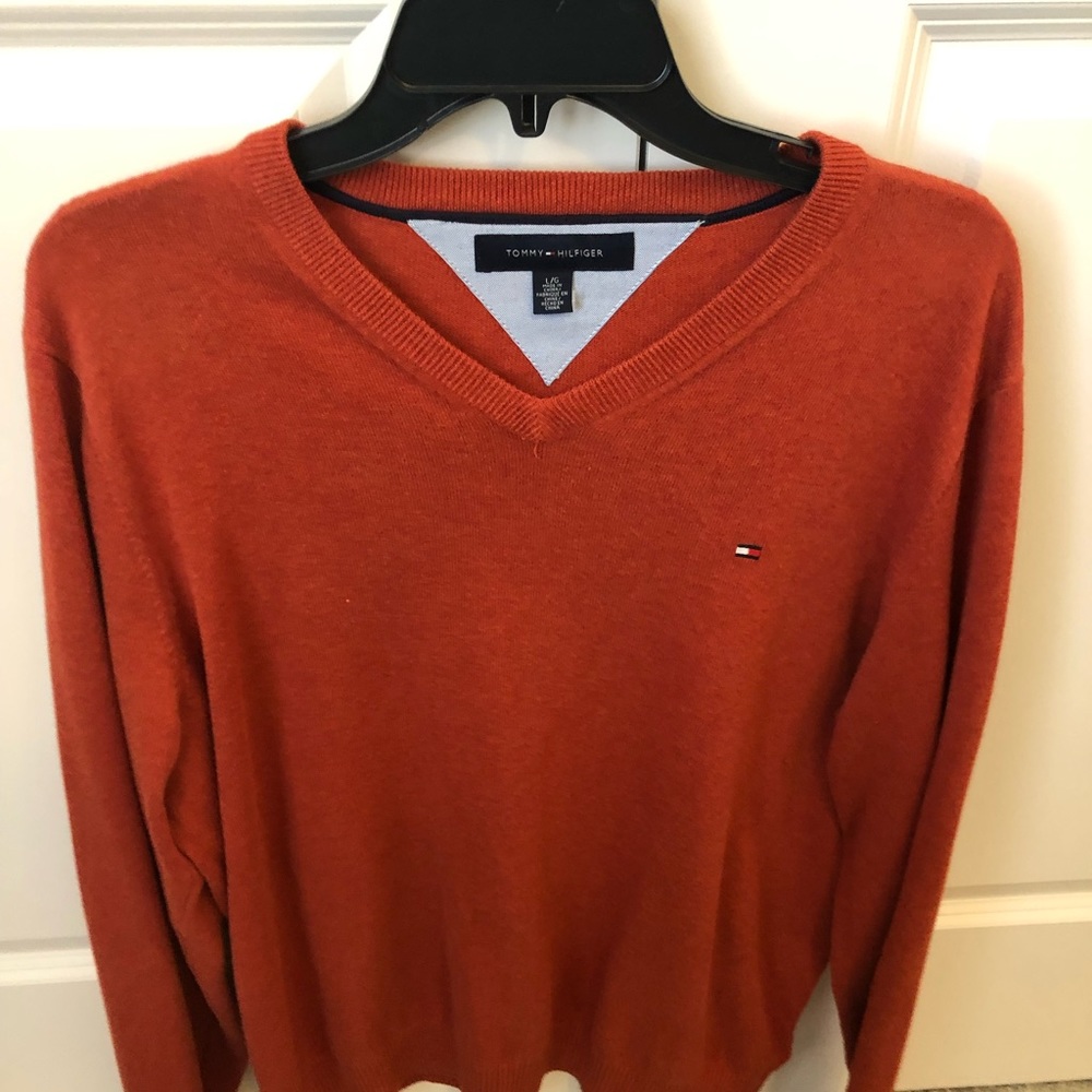 Mens Large Tommy Hilfiger light weight sweater